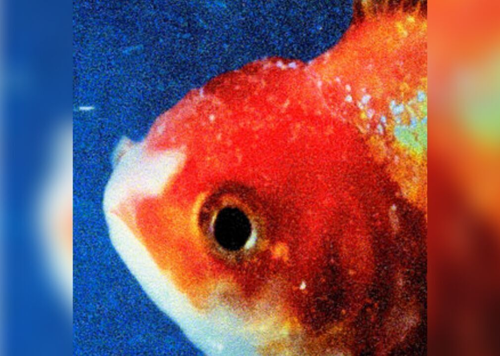#96. "Big Fish Theory" by Vince Staples